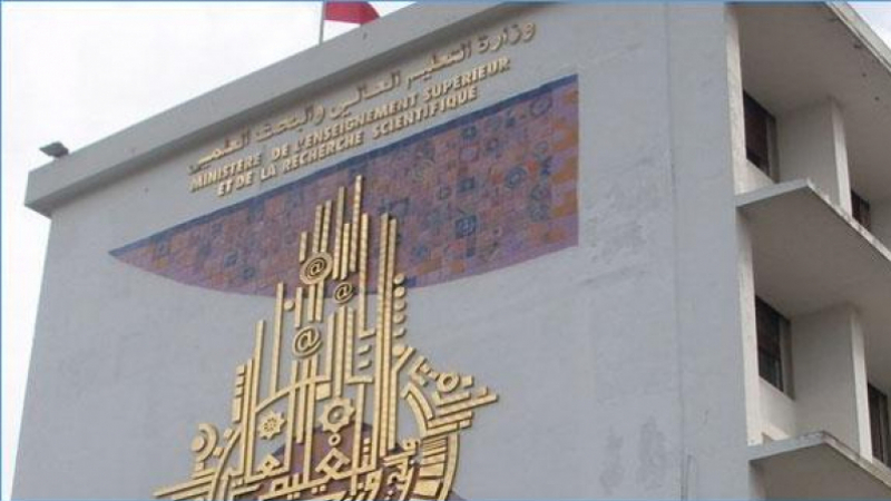 التعليم العالي: بعث لجنة لحل إشكاليات الطلبة الأفارقة في تونس